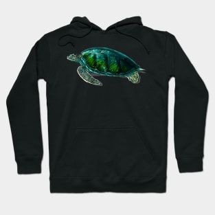 Vintage green sea turtle-animalia Hoodie